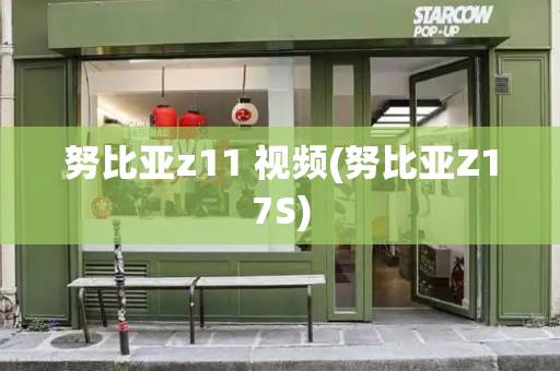 努比亚z11 视频(努比亚Z17S)