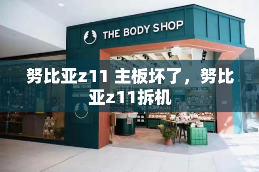 努比亚z11 主板坏了，努比亚z11拆机