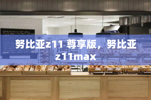 努比亚z11 尊享版，努比亚z11max