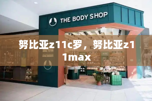 努比亚z11c罗，努比亚z11max