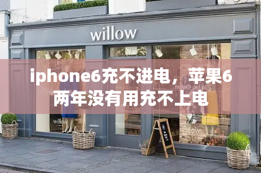 iphone6充不进电，苹果6两年没有用充不上电