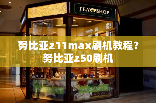 努比亚z11max刷机教程？努比亚z50刷机-第1张图片-星选测评