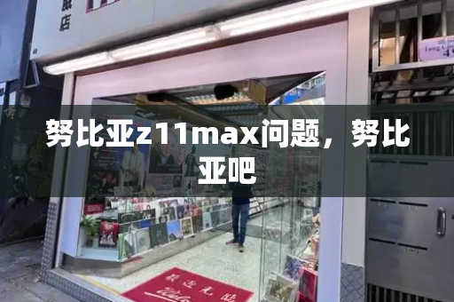 努比亚z11max问题，努比亚吧