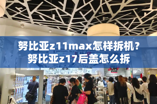 努比亚z11max怎样拆机？努比亚z17后盖怎么拆-第1张图片-星选测评