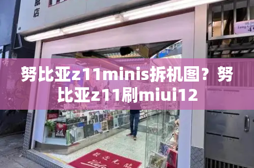 努比亚z11minis拆机图？努比亚z11刷miui12-第1张图片-星选测评