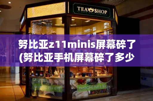 努比亚z11minis屏幕碎了(努比亚手机屏幕碎了多少钱)-第1张图片-星选测评