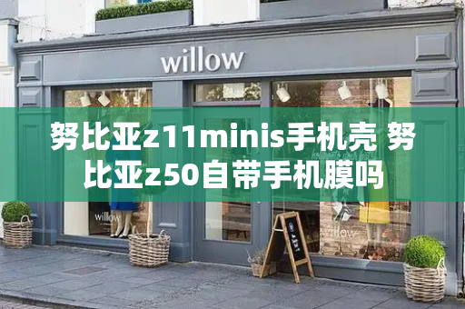努比亚z11minis手机壳 努比亚z50自带手机膜吗