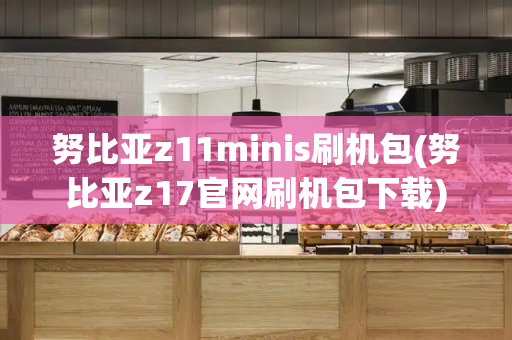 努比亚z11minis刷机包(努比亚z17官网刷机包下载)-第1张图片-星选测评