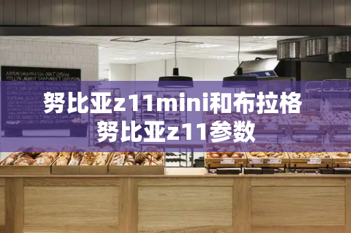 努比亚z11mini和布拉格 努比亚z11参数-第1张图片-星选测评