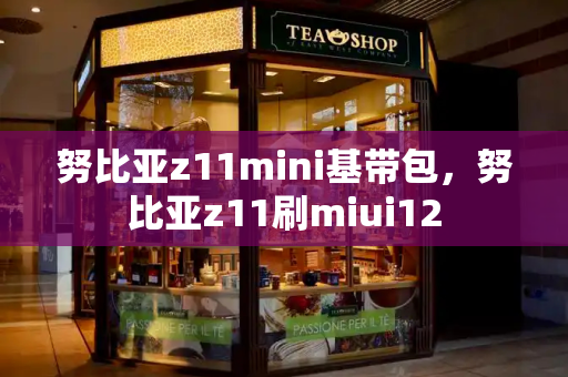 努比亚z11mini基带包，努比亚z11刷miui12