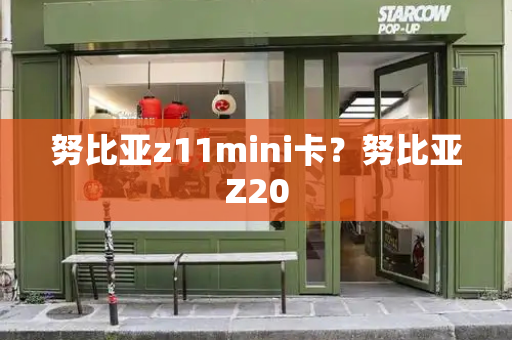 努比亚z11mini卡？努比亚Z20