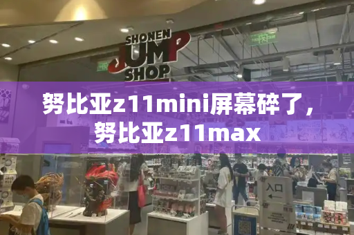 努比亚z11mini屏幕碎了，努比亚z11max-第1张图片-星选测评