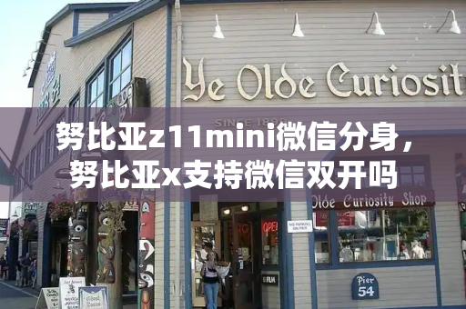 努比亚z11mini微信分身，努比亚x支持微信双开吗-第1张图片-星选测评