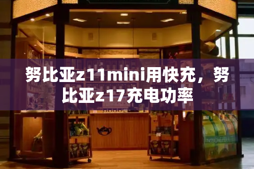 努比亚z11mini用快充，努比亚z17充电功率-第1张图片-星选测评