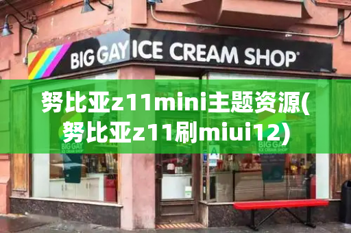 努比亚z11mini主题资源(努比亚z11刷miui12)