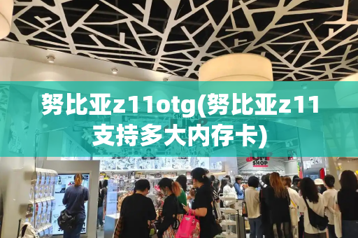 努比亚z11otg(努比亚z11支持多大内存卡)-第1张图片-星选测评