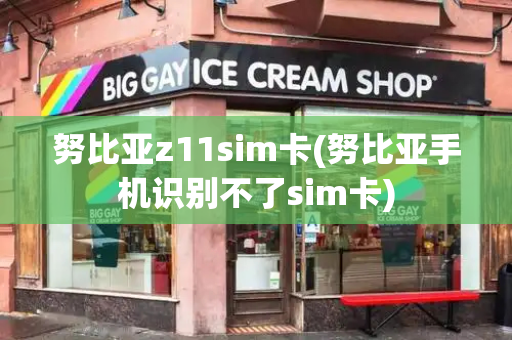 努比亚z11sim卡(努比亚手机识别不了sim卡)-第1张图片-星选测评
