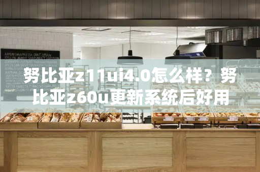 努比亚z11ui4.0怎么样？努比亚z60u更新系统后好用吗-第1张图片-星选测评