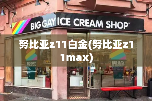 努比亚z11白金(努比亚z11max)