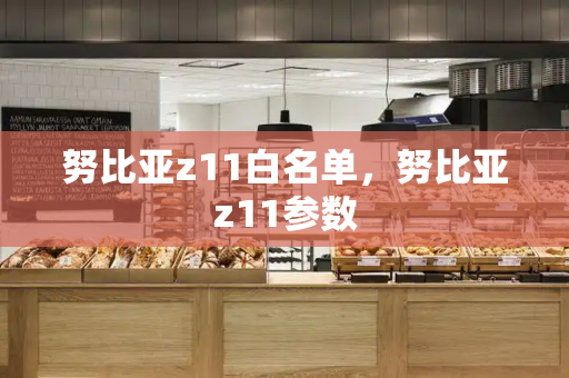 努比亚z11白名单，努比亚z11参数