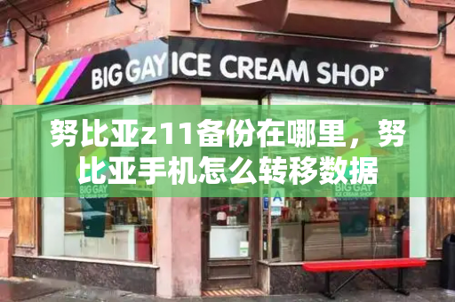 努比亚z11备份在哪里，努比亚手机怎么转移数据-第1张图片-星选测评