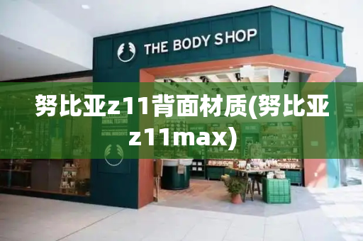 努比亚z11背面材质(努比亚z11max)