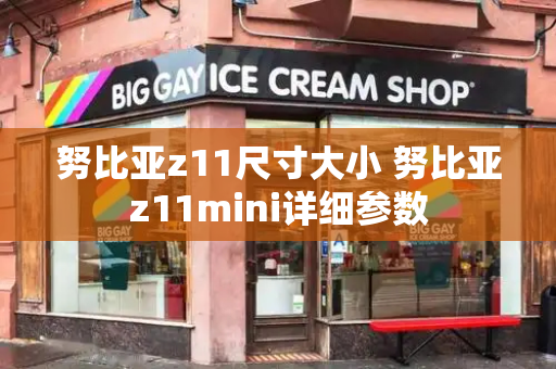 努比亚z11尺寸大小 努比亚z11mini详细参数-第1张图片-星选测评