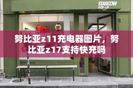 努比亚z11充电器图片，努比亚z17支持快充吗-第1张图片-星选测评