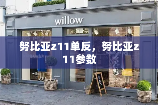 努比亚z11单反，努比亚z11参数-第1张图片-星选测评