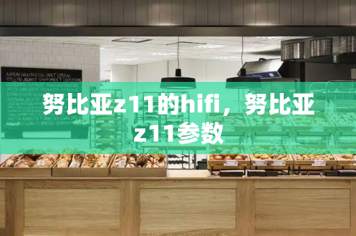 努比亚z11的hifi，努比亚z11参数