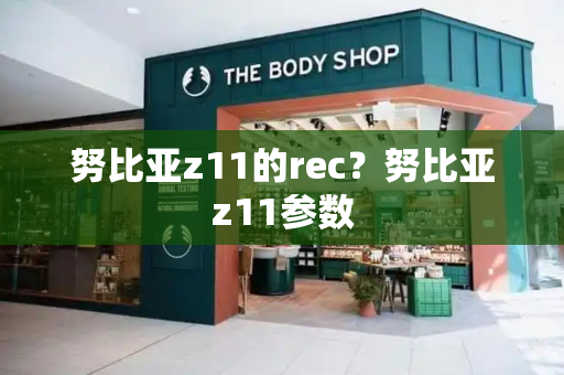 努比亚z11的rec？努比亚z11参数