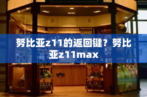 努比亚z11的返回键？努比亚z11max
