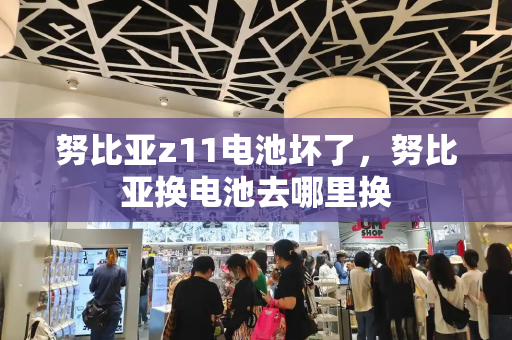 努比亚z11电池坏了，努比亚换电池去哪里换-第1张图片-星选测评