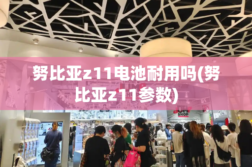 努比亚z11电池耐用吗(努比亚z11参数)
