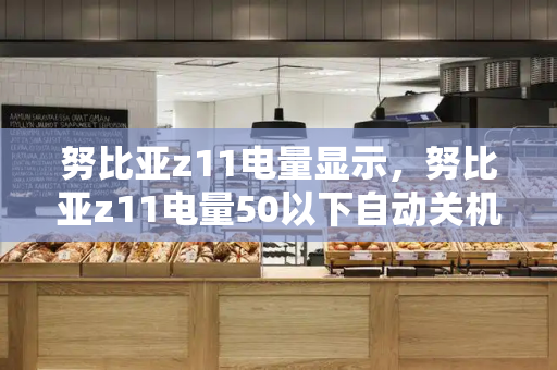 努比亚z11电量显示，努比亚z11电量50以下自动关机-第1张图片-星选测评