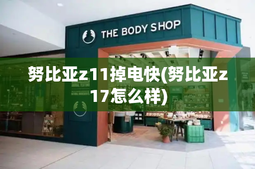 努比亚z11掉电快(努比亚z17怎么样)-第1张图片-星选测评