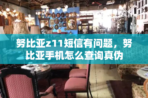 努比亚z11短信有问题，努比亚手机怎么查询真伪