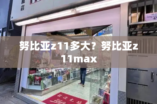 努比亚z11多大？努比亚z11max-第1张图片-星选测评