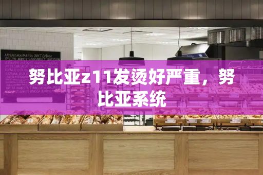 努比亚z11发烫好严重，努比亚系统