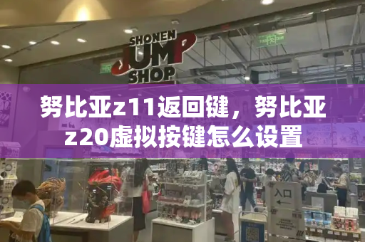 努比亚z11返回键，努比亚z20虚拟按键怎么设置-第1张图片-星选测评