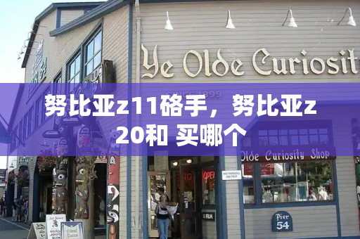 努比亚z11硌手，努比亚z20和 买哪个-第1张图片-星选测评