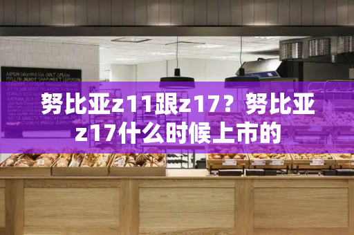 努比亚z11跟z17？努比亚z17什么时候上市的-第1张图片-星选测评