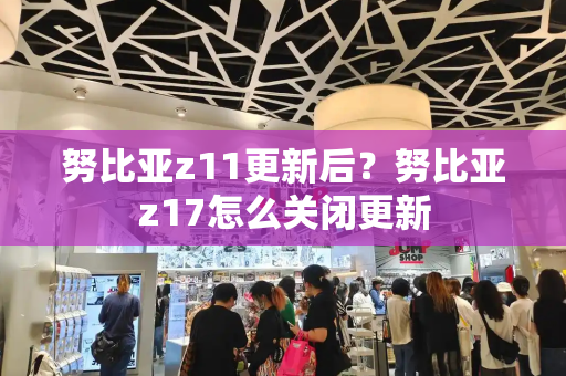 努比亚z11更新后？努比亚z17怎么关闭更新