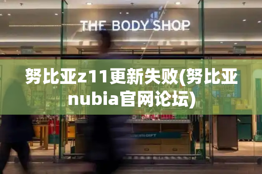 努比亚z11更新失败(努比亚nubia官网论坛)-第1张图片-星选测评