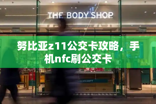 努比亚z11公交卡攻略，手机nfc刷公交卡-第1张图片-星选测评