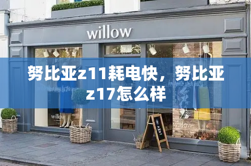 努比亚z11耗电快，努比亚z17怎么样-第1张图片-星选测评