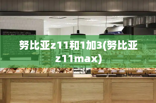 努比亚z11和1加3(努比亚z11max)-第1张图片-星选测评