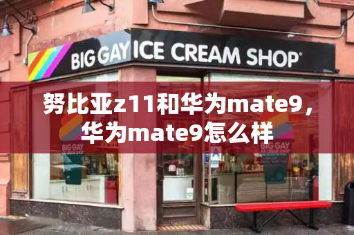 努比亚z11和华为mate9，华为mate9怎么样