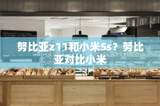 努比亚z11和小米5s？努比亚对比小米