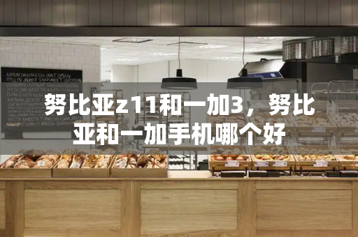 努比亚z11和一加3，努比亚和一加手机哪个好-第1张图片-星选测评